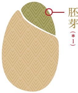 胚芽